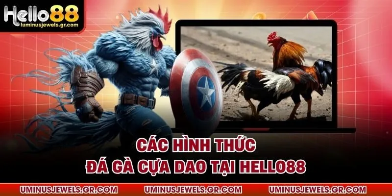 Các hình thức đá gà cựa dao tại HELLO88