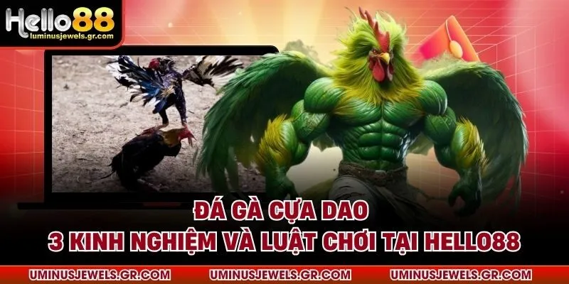 Đá gà cựa dao