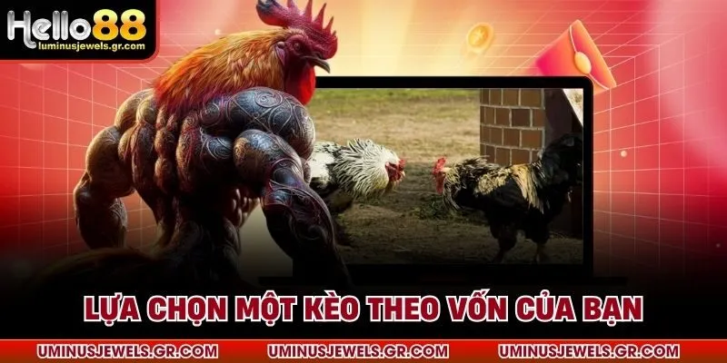 Lựa chọn một kèo theo vốn của bạn