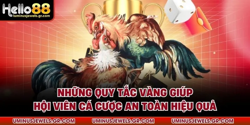Những quy tắc vàng giúp hội viên cá cược an toàn hiệu quả