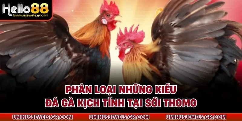Phân loại những kiểu đá gà kịch tính tại sới Thomo